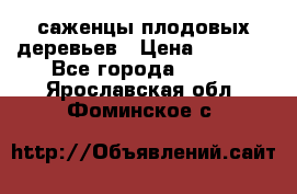 саженцы плодовых деревьев › Цена ­ 6 080 - Все города  »    . Ярославская обл.,Фоминское с.